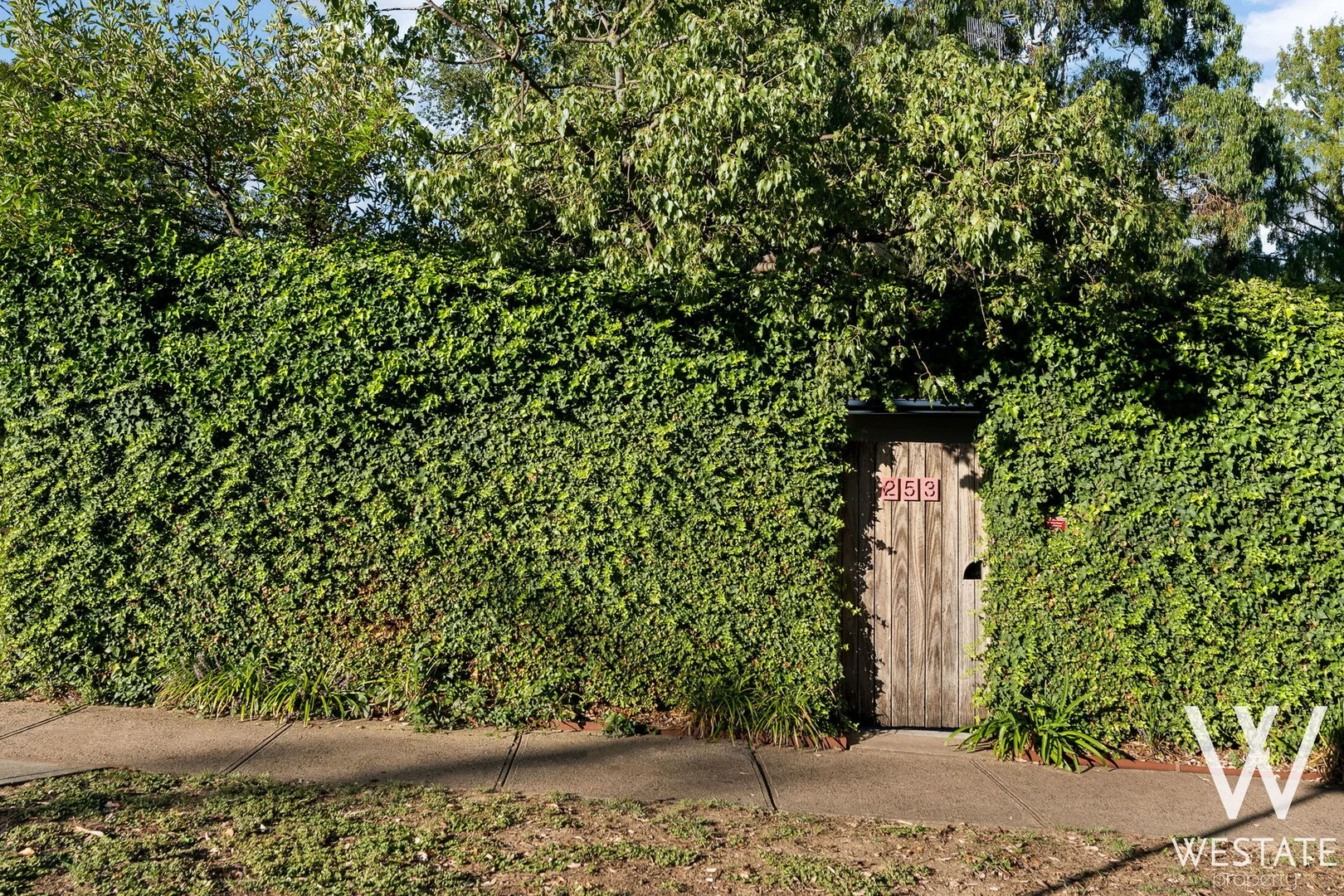Image 31