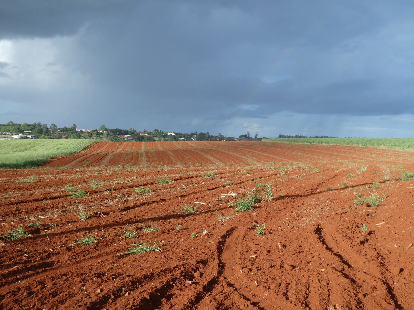 A Rainbows Road, South Isis QLD 4660, Image 2