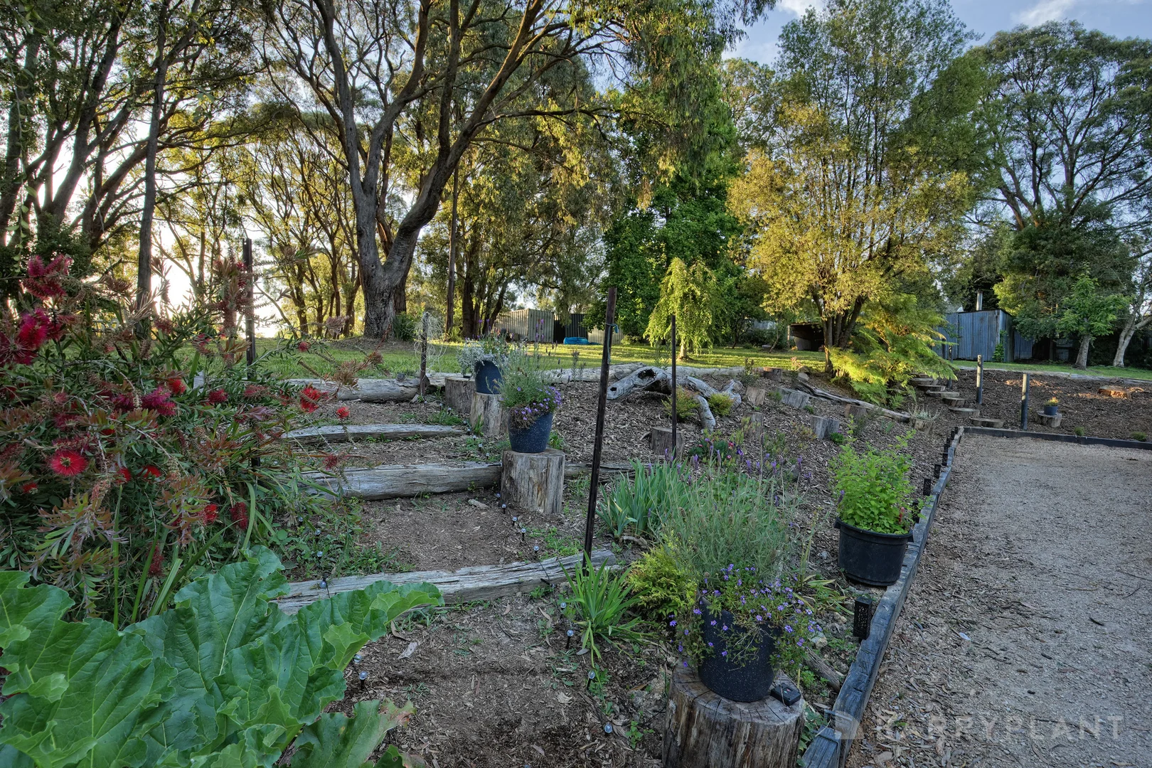 Image 25