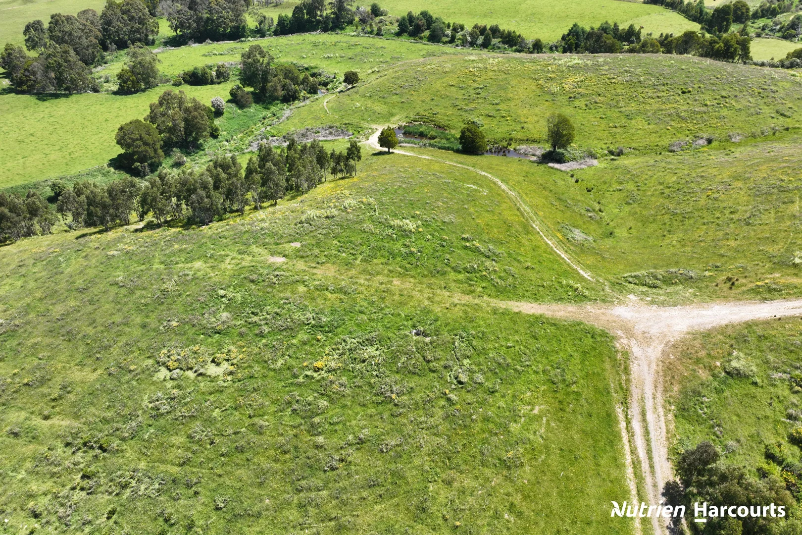 Additional image 9 of 2035 Woorarra East Road, Woorarra East VIC 3962