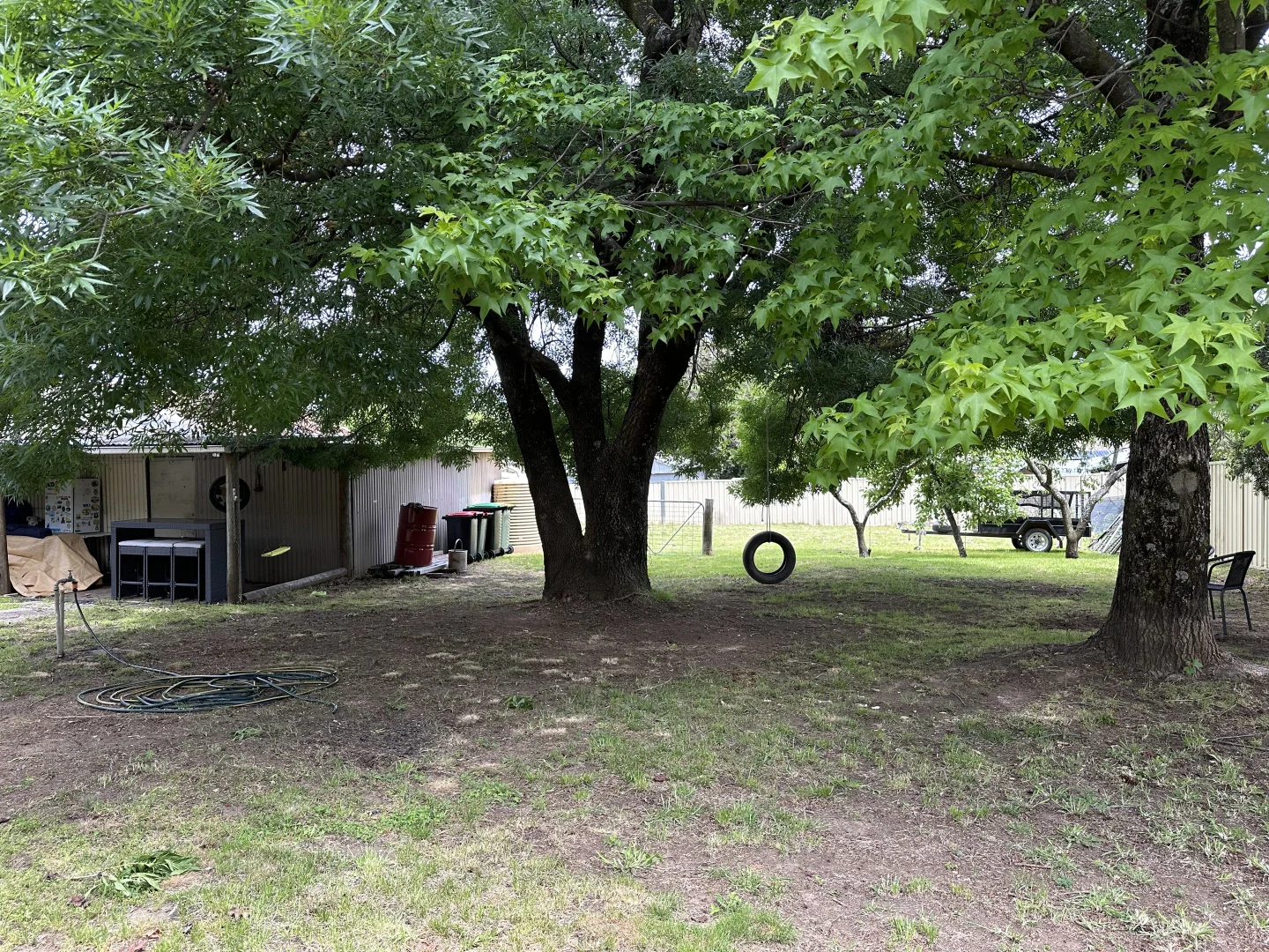 Image 13