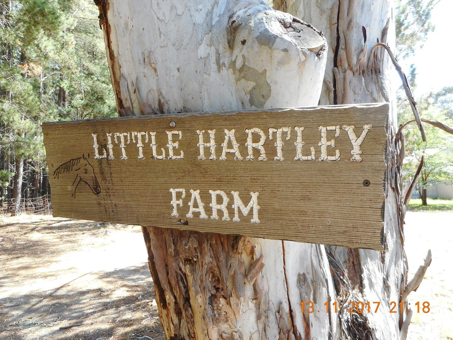 1139 Browns Gap Road, Little Hartley NSW 2790, Image 0