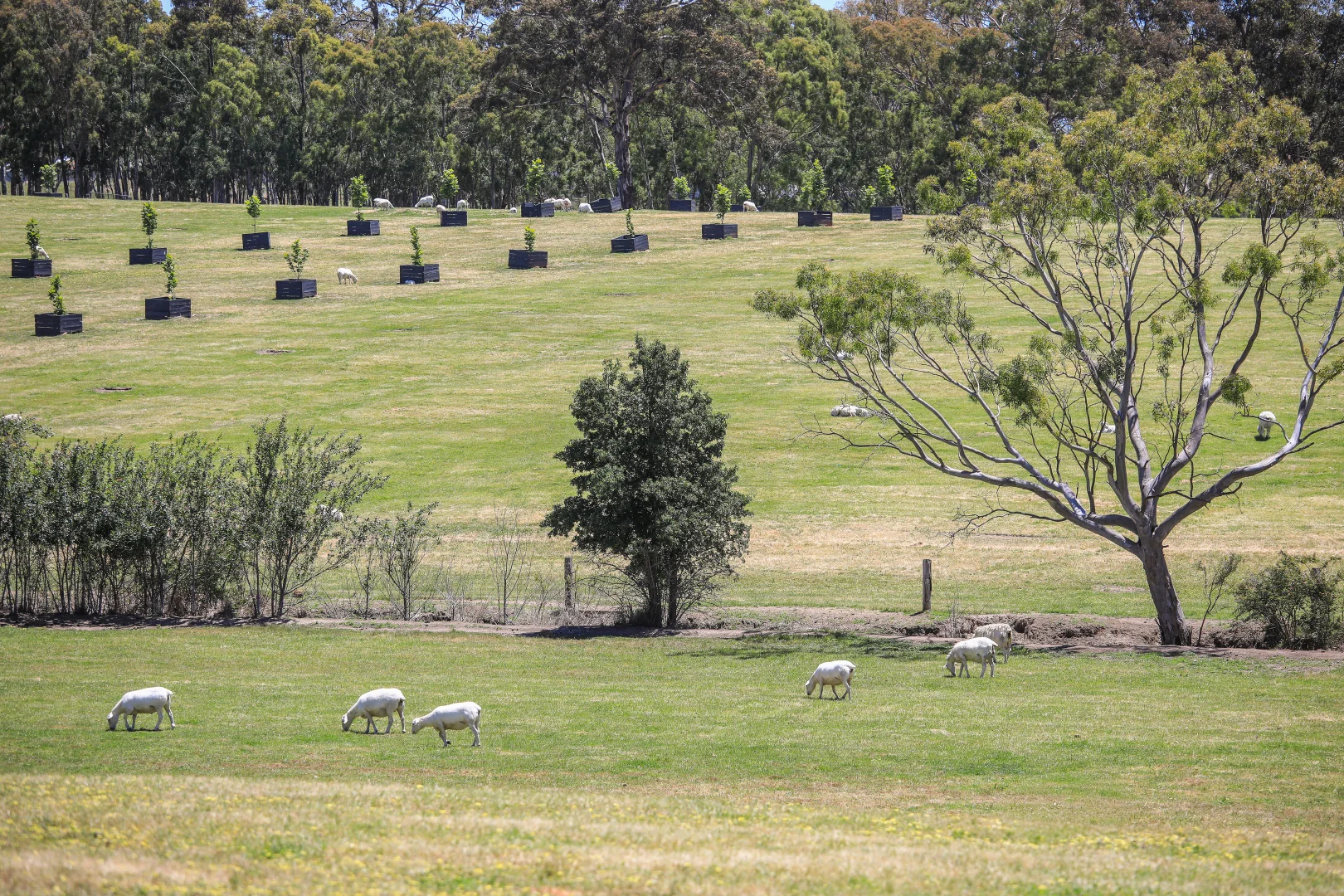 764 (Lot 105) Flaxley Road, Flaxley SA 5153 | Domain