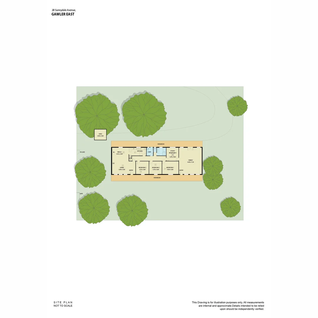 Image 23