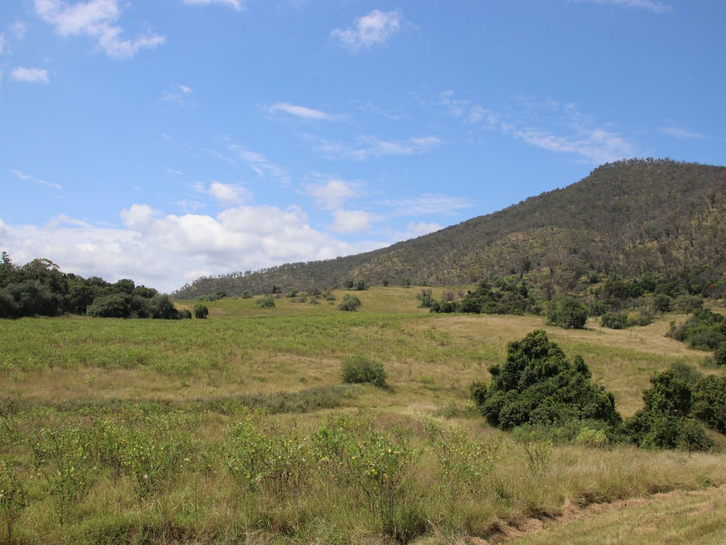 Lot 4 Dollar Bill Drive, Yangan QLD 4371, Image 2