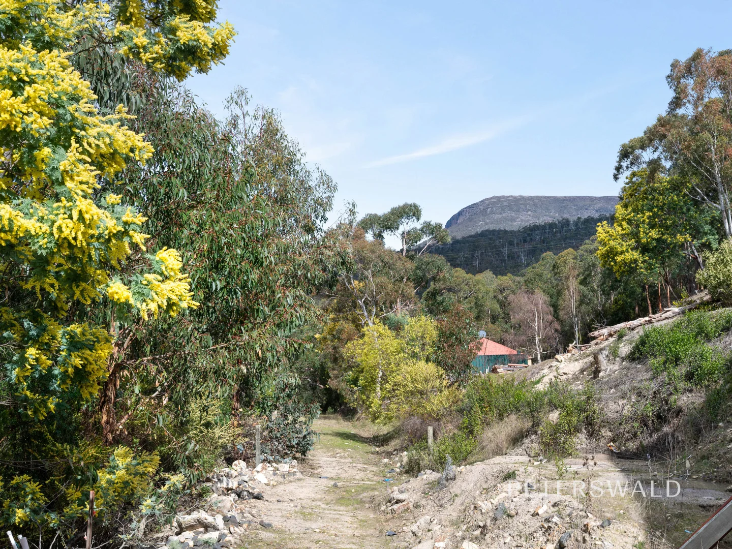 Image 13