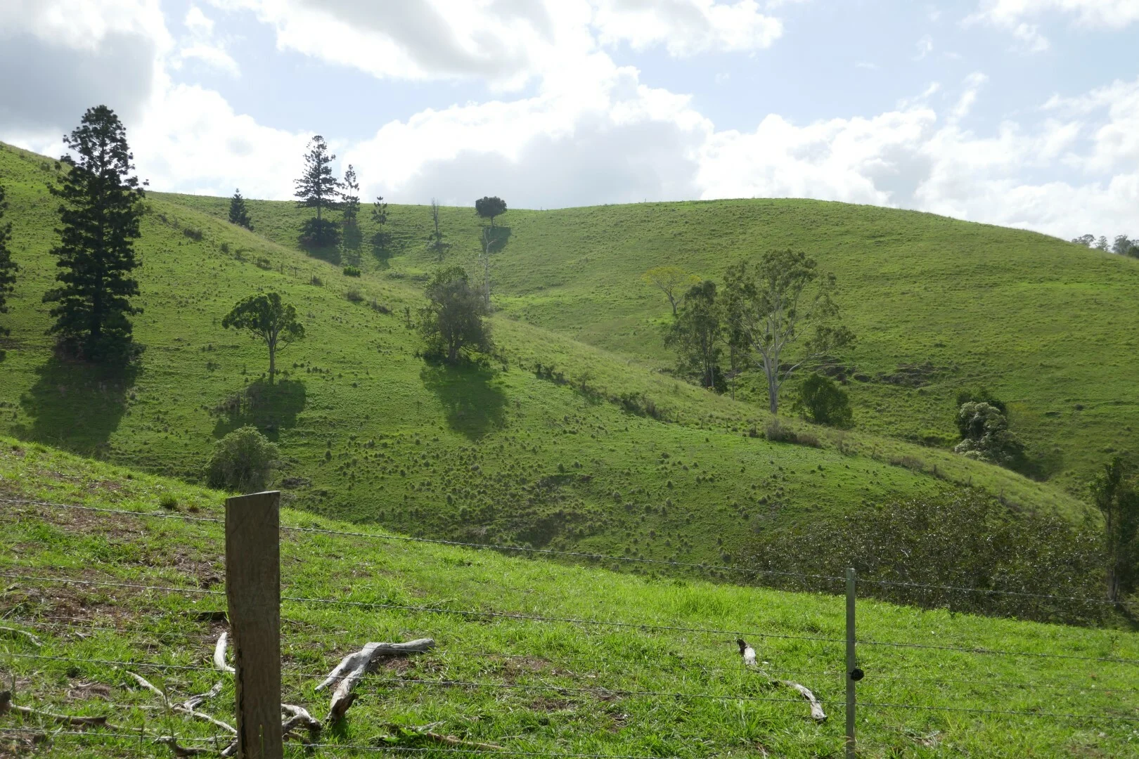 Image 15