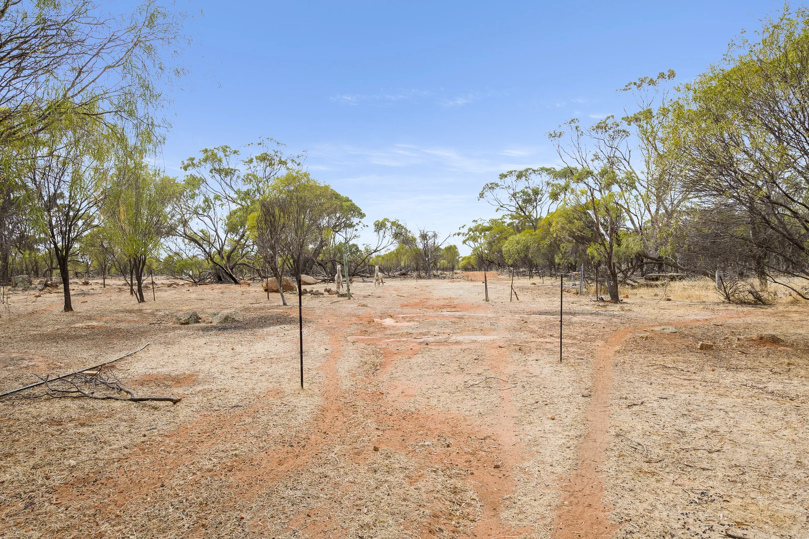 Additional image 29 of 21 York Gum Drive, Goomalling WA 6460