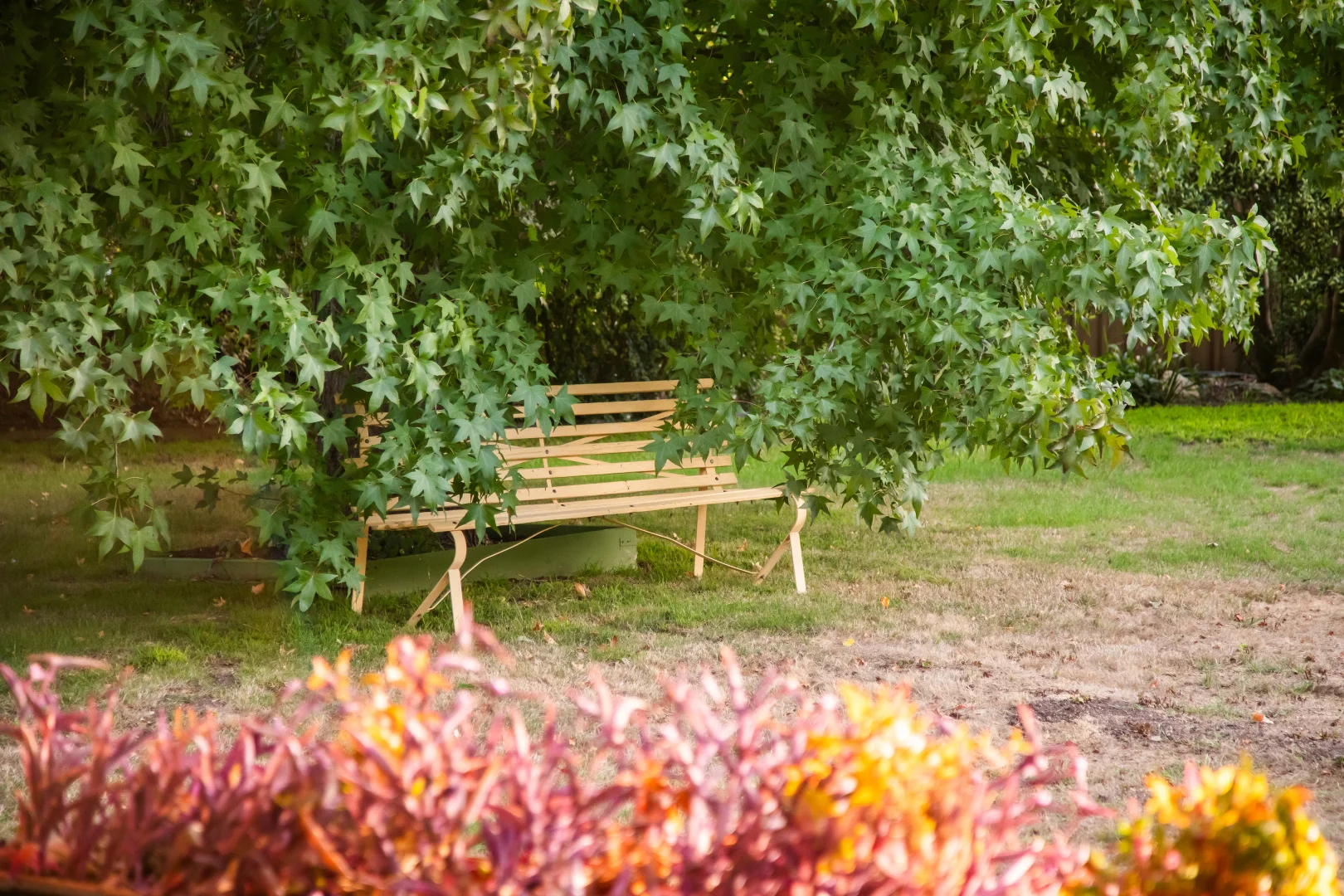 Additional image 29 of 5 Church Street, Balhannah SA 5242