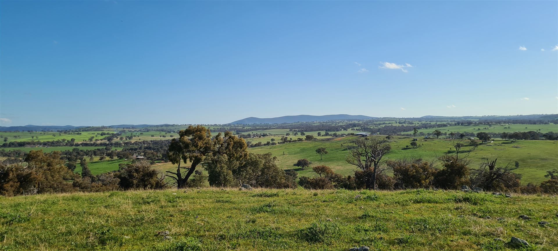 Salt Clay Road, Cootamundra NSW 2590, Image 2