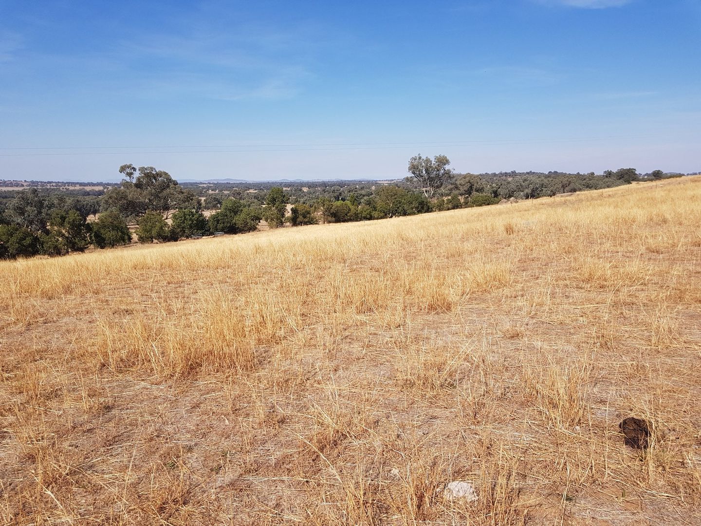 Lot 2 Beatrice Road, Burrumbuttock NSW 2642, Image 2