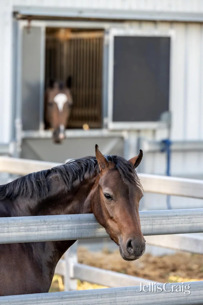 Additional image 33 of 272 Steels Creek Road, Yarra Glen VIC 3775