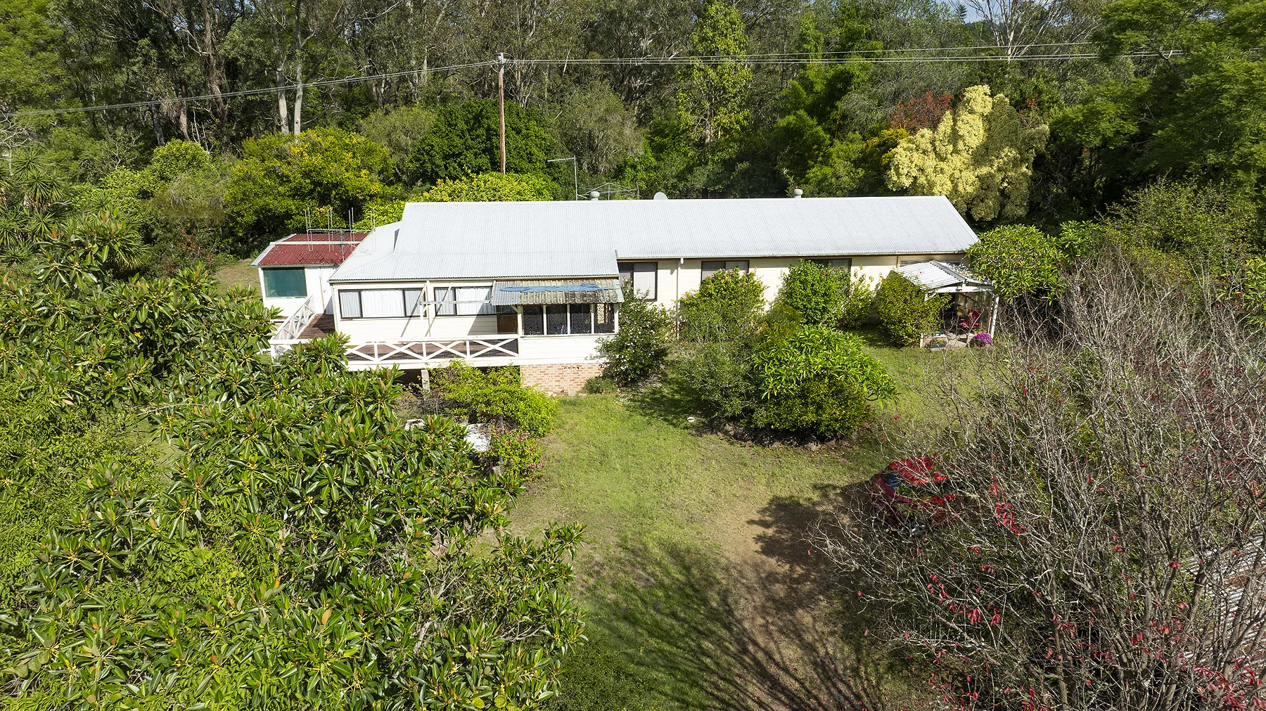 Image 19
