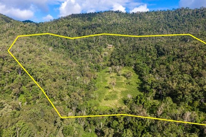 Picture of 289 Forestry Road, BRANDY CREEK QLD 4800