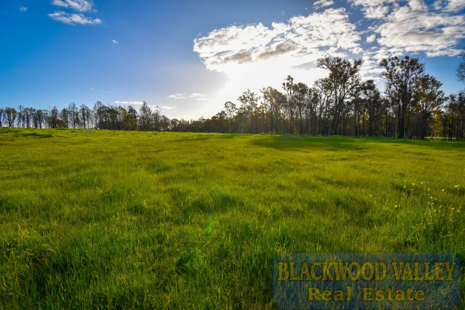 66 Lorikeet Ridge, Bridgetown WA 6255 Domain