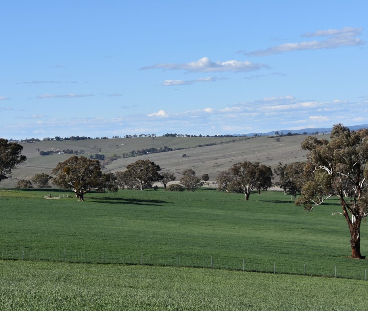 Bathurst NSW 2795 House for Sale 260.00 acre Domain