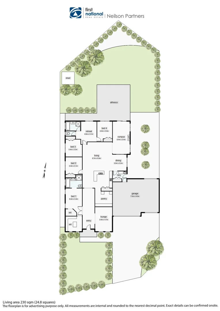 Image 21