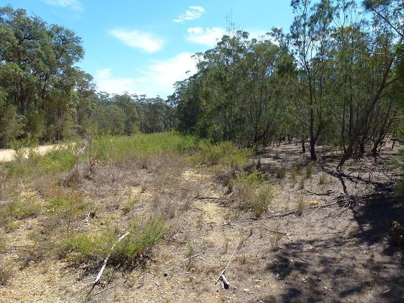 Lot 11 Princes Highway, Bimbimbie NSW 2536, Image 1