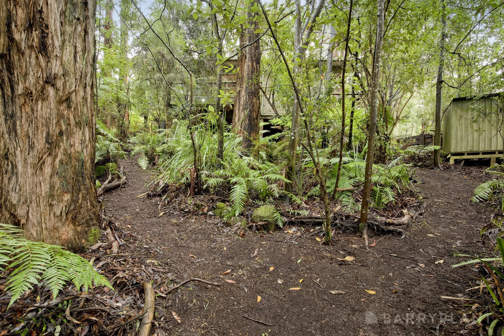 Image 10