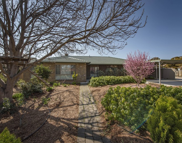 19 Forwood Street, Monash ACT 2904