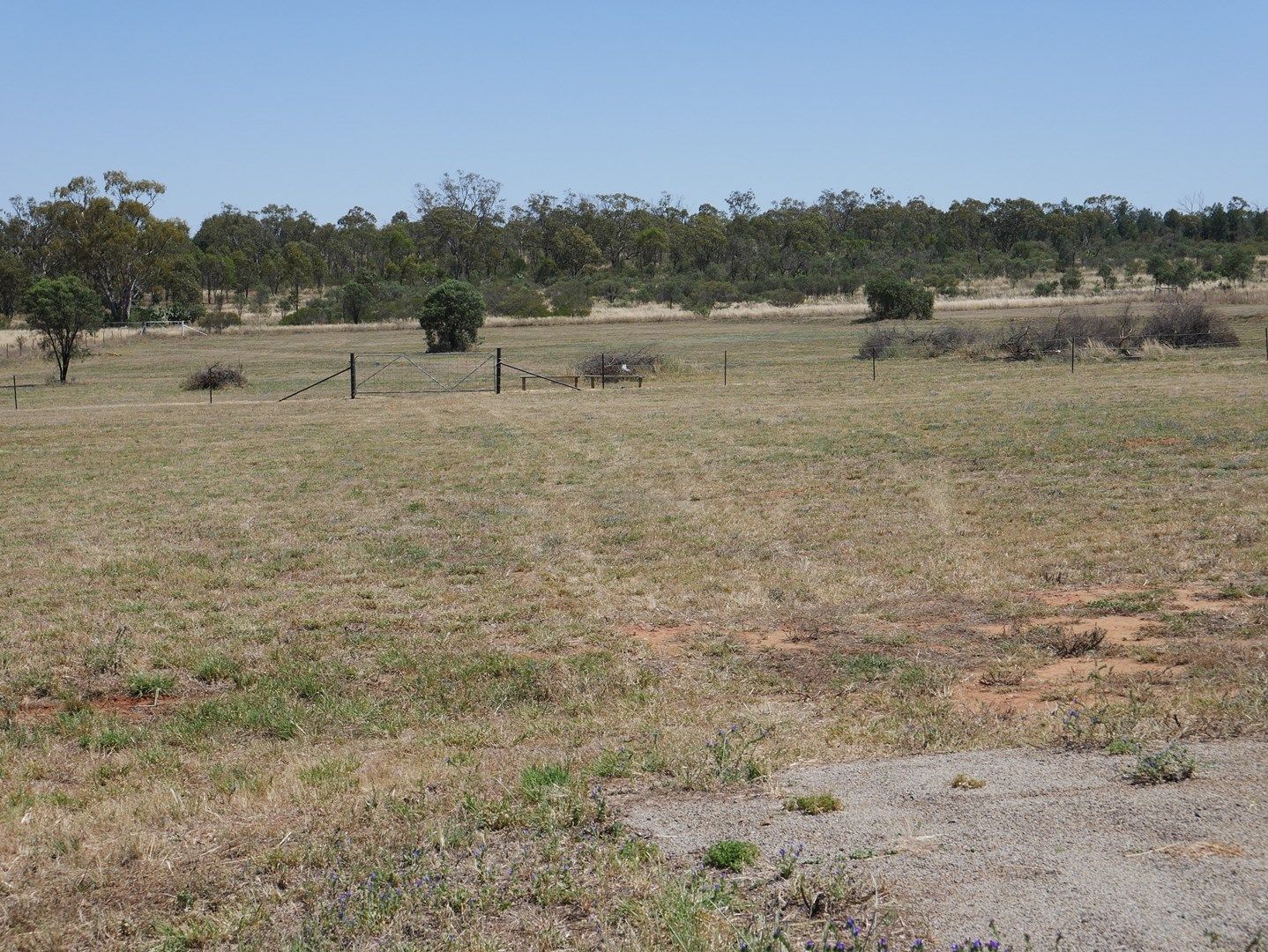 3 Qualitary Road, Merungle Hill NSW 2705, Image 0