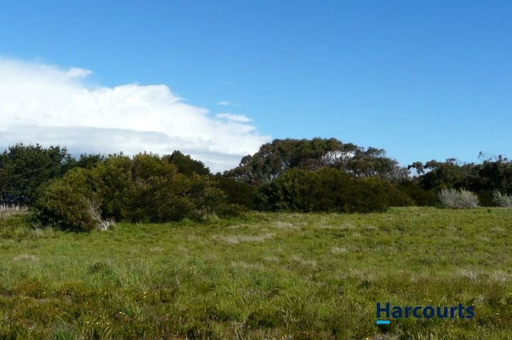 Lot 2 Davis Street, Beechford TAS 7252, Image 0