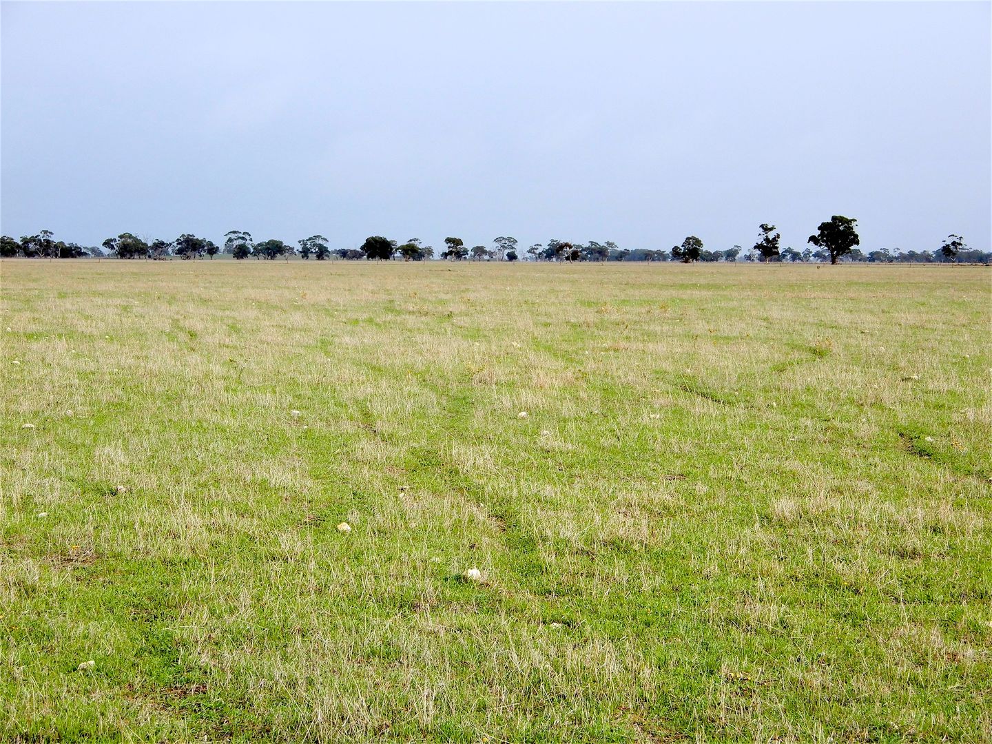 Lot 2 Martin Camp Road, Keith SA 5267, Image 1