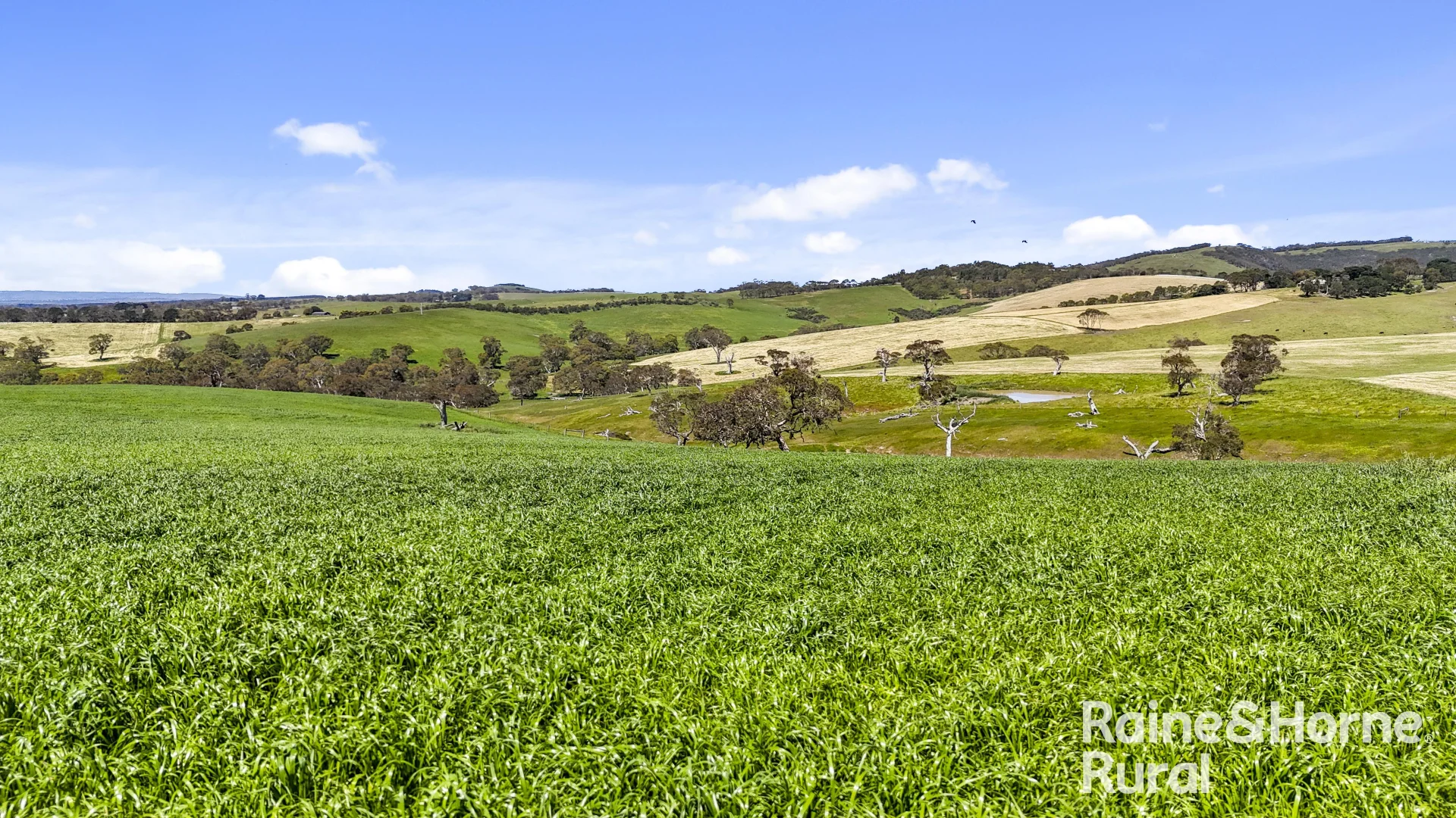 Additional image 6 of 25 Nosworthy Road, Inman Valley SA 5211