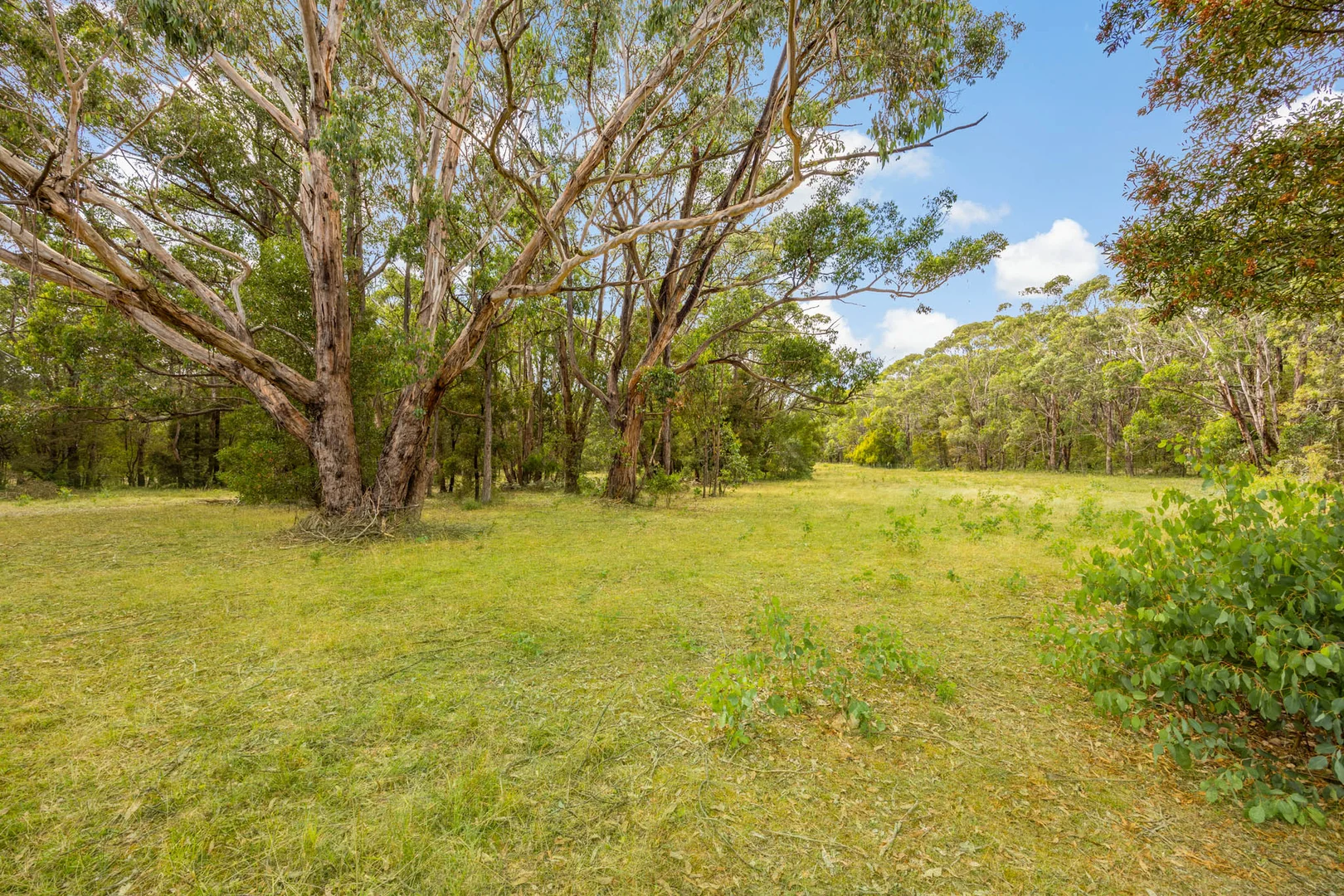 Additional image 23 of 183 Coffeys Road, Bullengarook VIC 3437