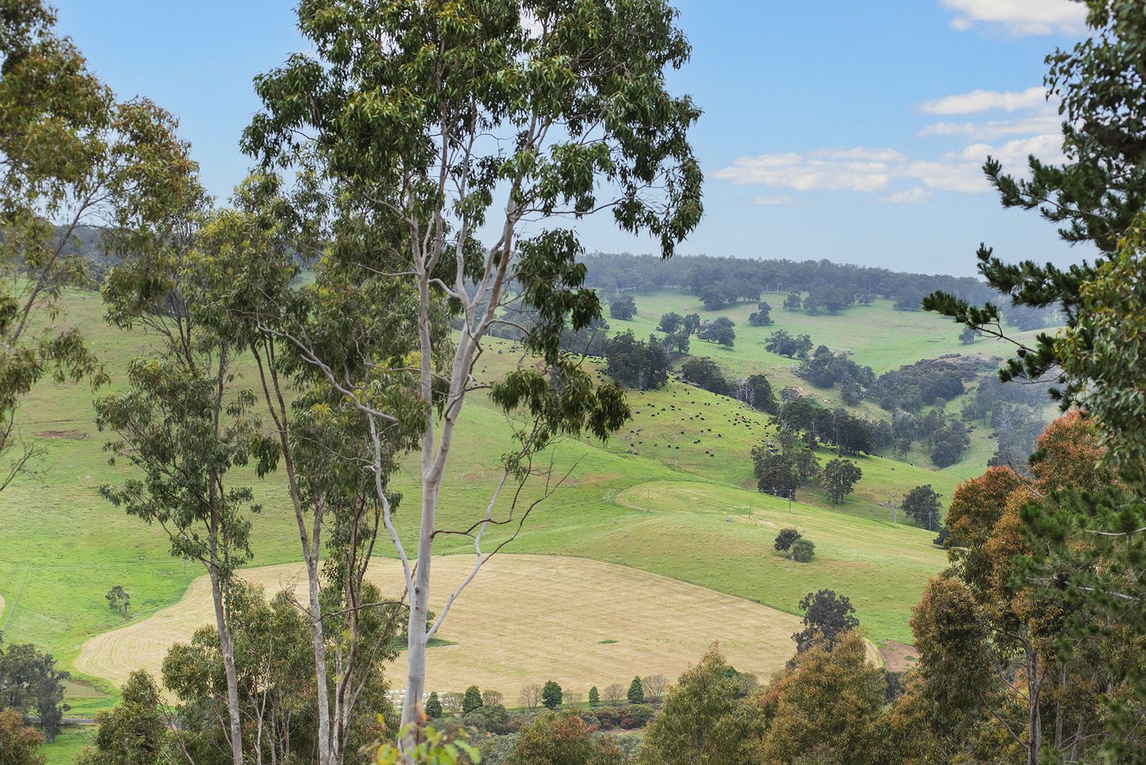 Lot 3 Ridges Road, Nannup WA 6275 Specialist Farm for Sale Domain