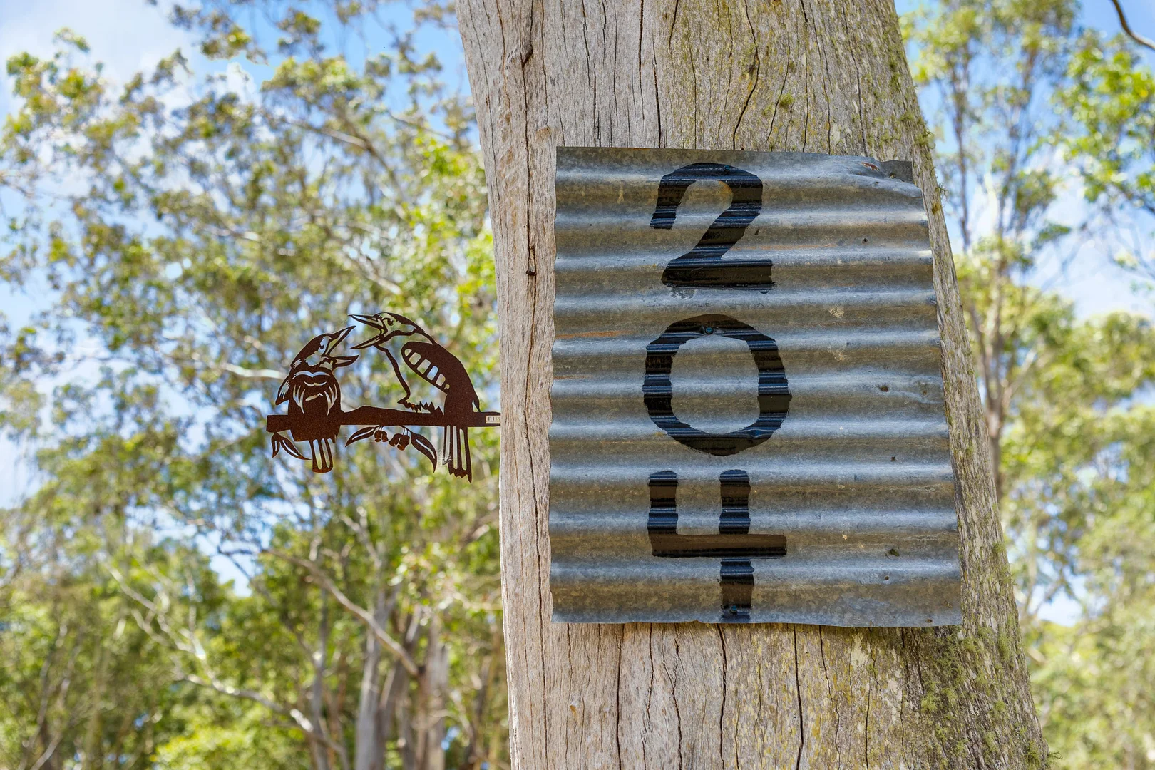 Image 16