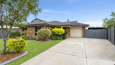 Adam Cini | Movement Realty | Real Estate Agent in 49 Jocelyn St ...