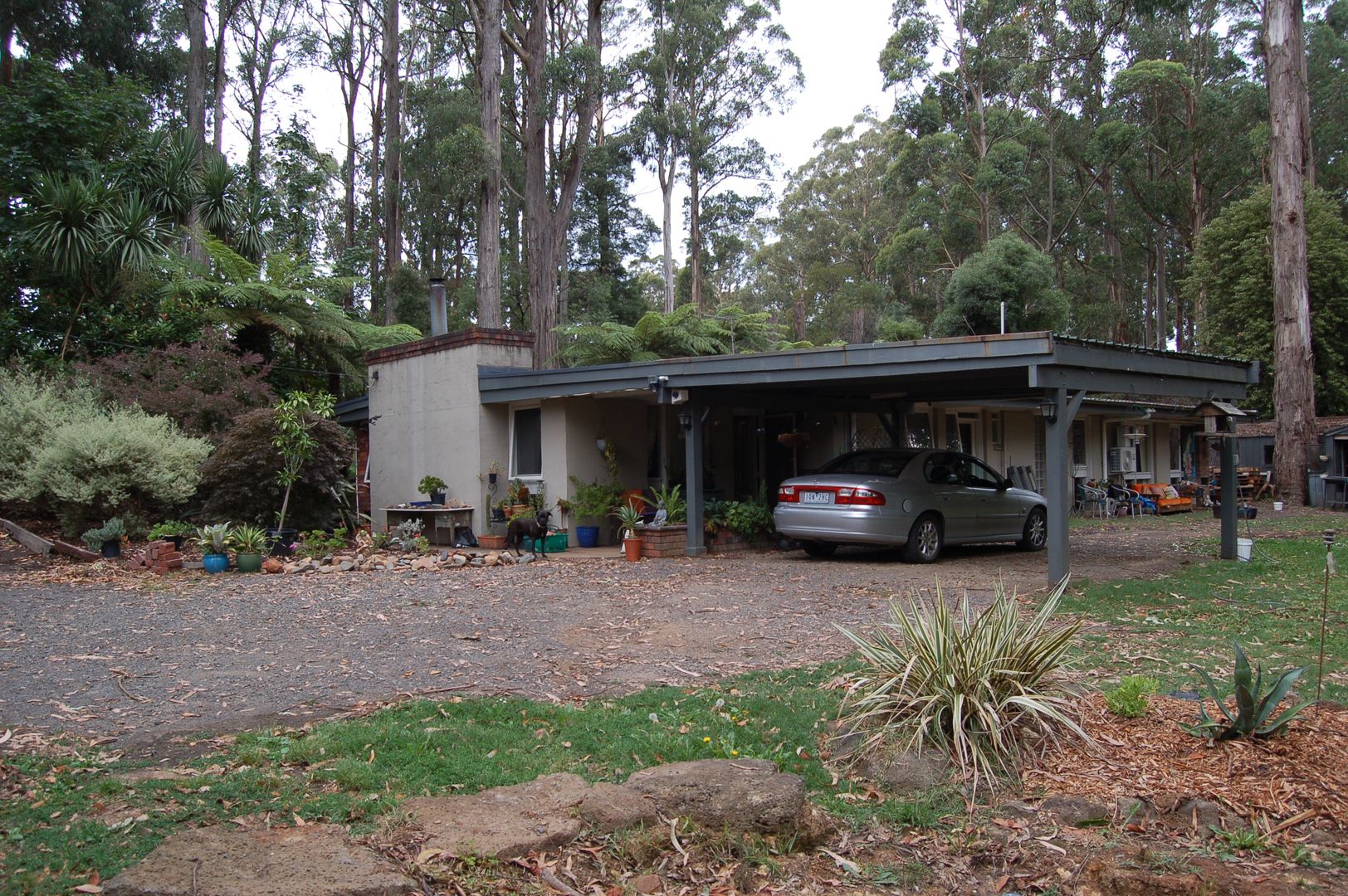 86 KINGLAKE-GLENBURN ROAD, Kinglake VIC 3763, Image 1