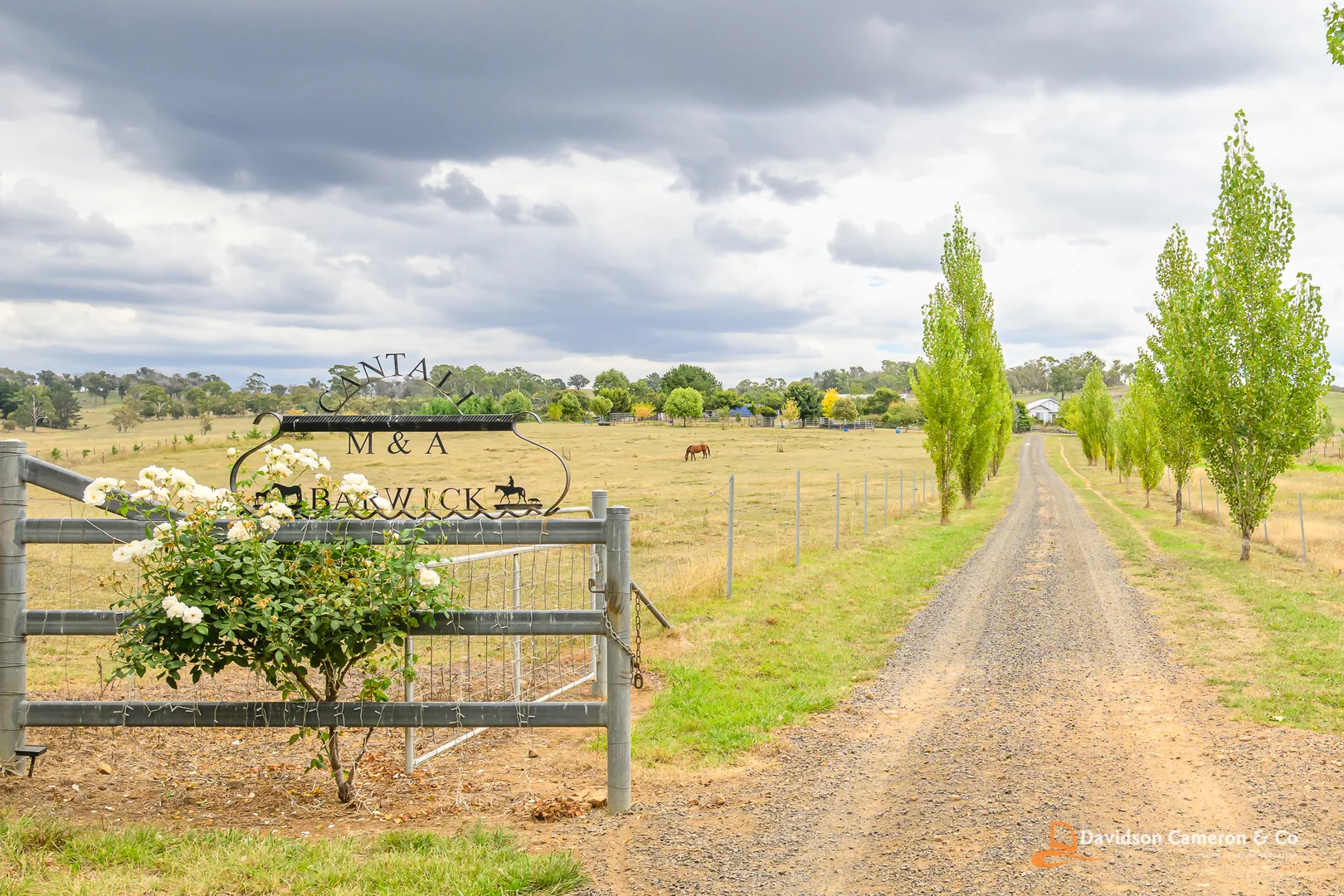 Additional image 4 of "Cantali" 126 Aberbaldie Road, Walcha NSW 2354