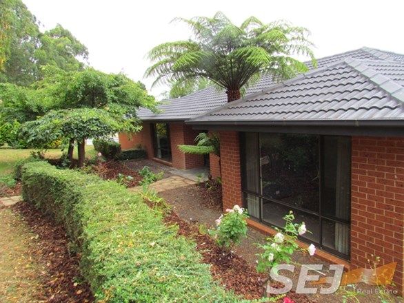 379 Childers Thorpdale Road, Thorpdale VIC 3835, Image 0