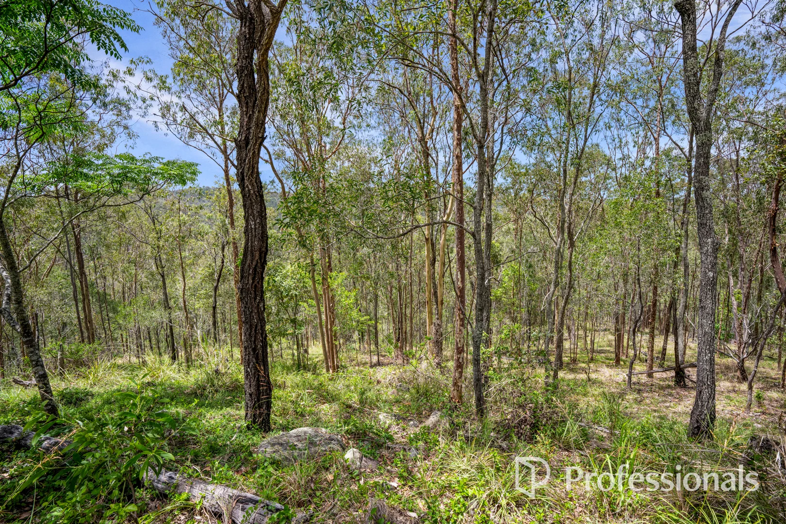 Additional image 7 of Lot 14/960 Glastonbury Road, Glastonbury QLD 4570