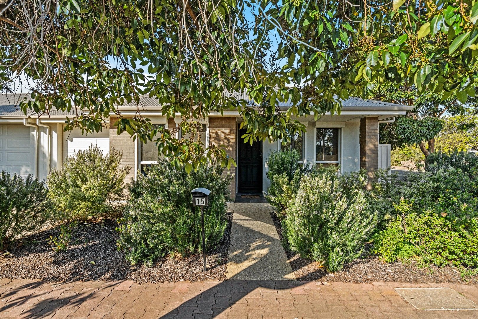 15 Seventh Avenue, Hove SA 5048, Image 1