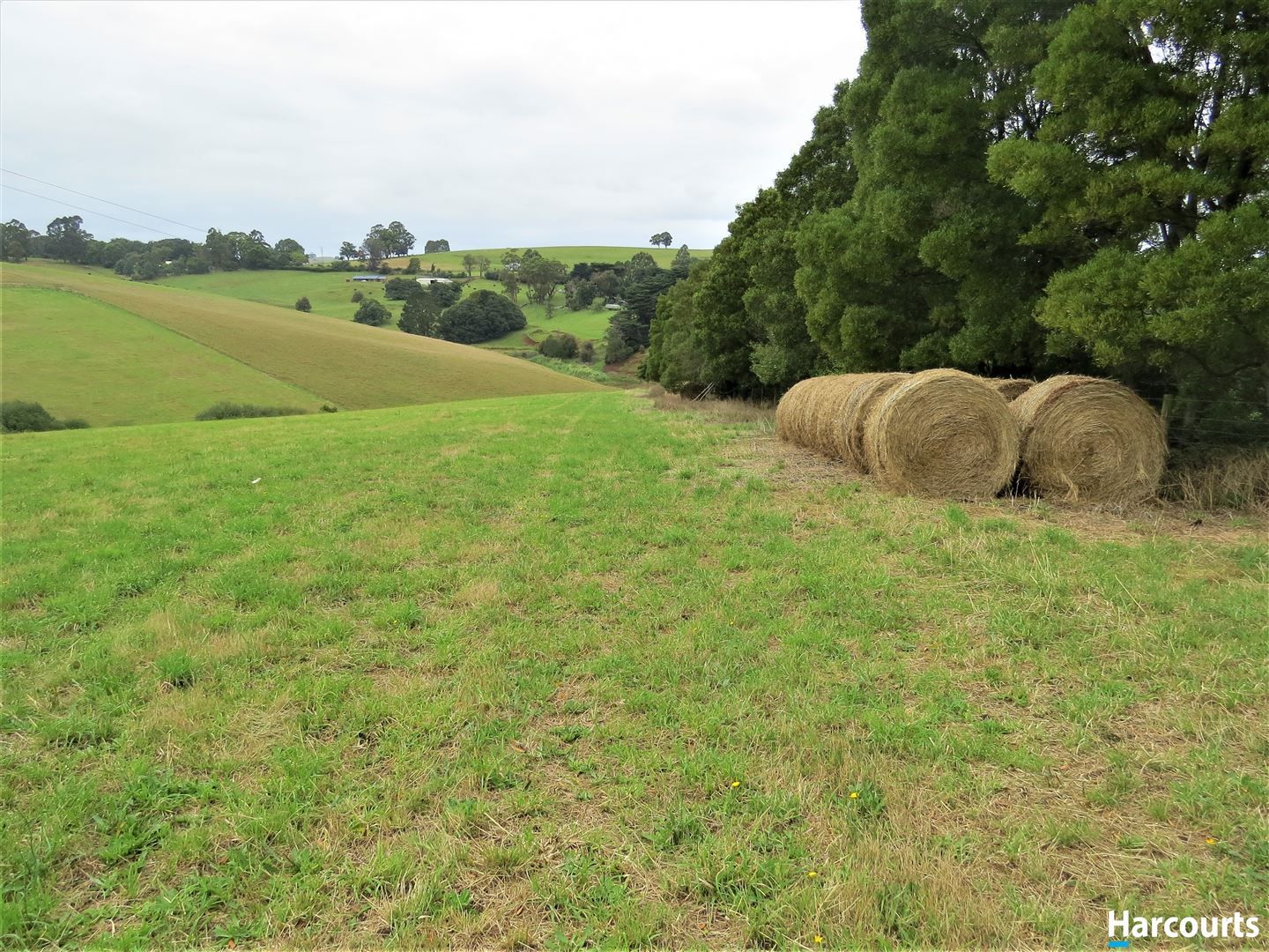 Lot 1 2750 Meeniyan Mirboo North Road, Mirboo North VIC 3871, Image 2