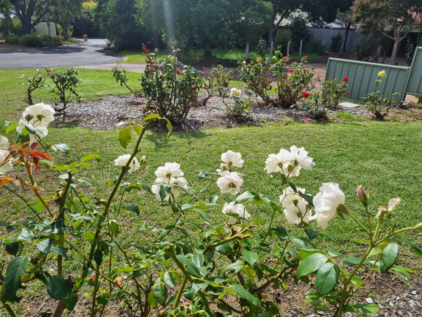 Additional image 10 of 10 Magnolia Court, Cowaramup WA 6284