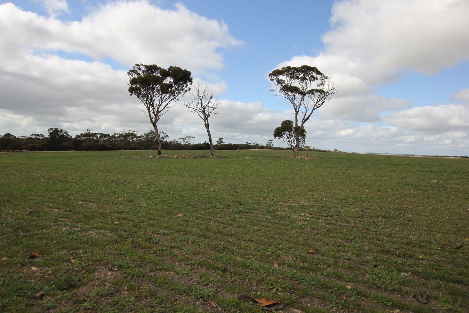 Lot 25303 Dixon Road, Narembeen WA 6369, Image 0