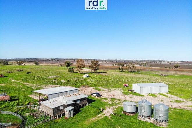 Picture of 45 Willowie Road, GRAMAN NSW 2360