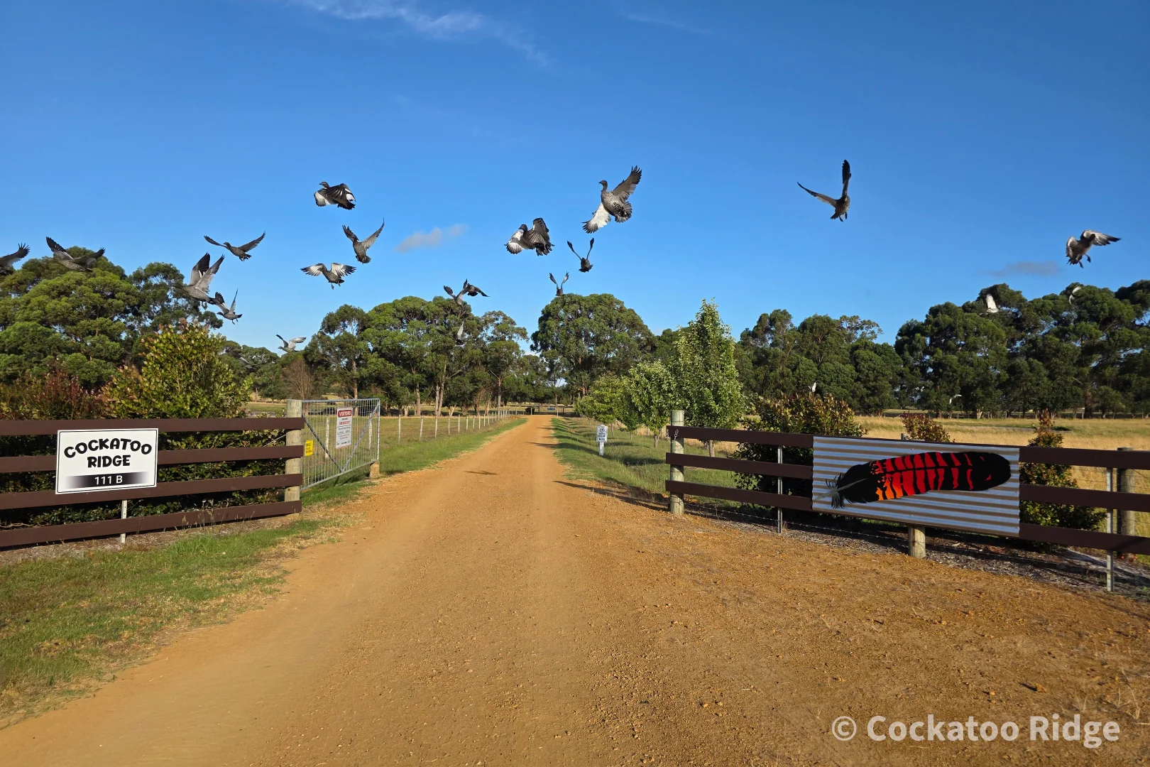 Additional image 7 of 96 Rudgyard Place, Hay WA 6333
