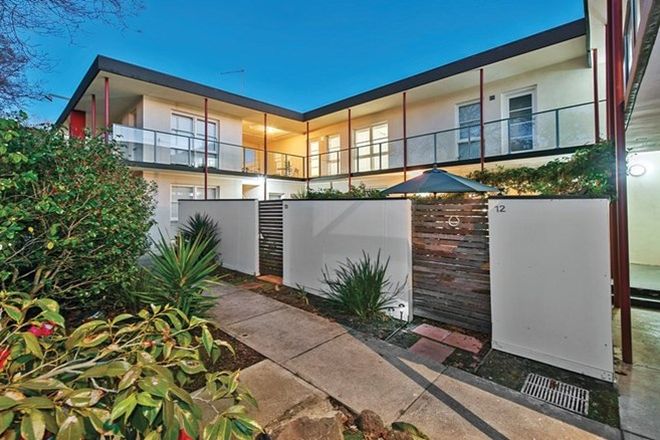 57 1 Bedroom Apartments For Rent In Brighton Vic 3186