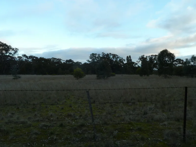 Image 15