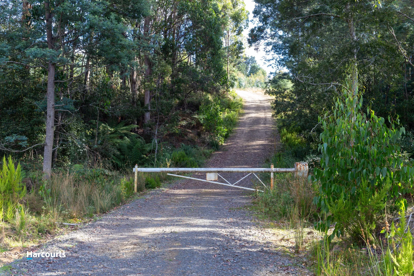 Image 11