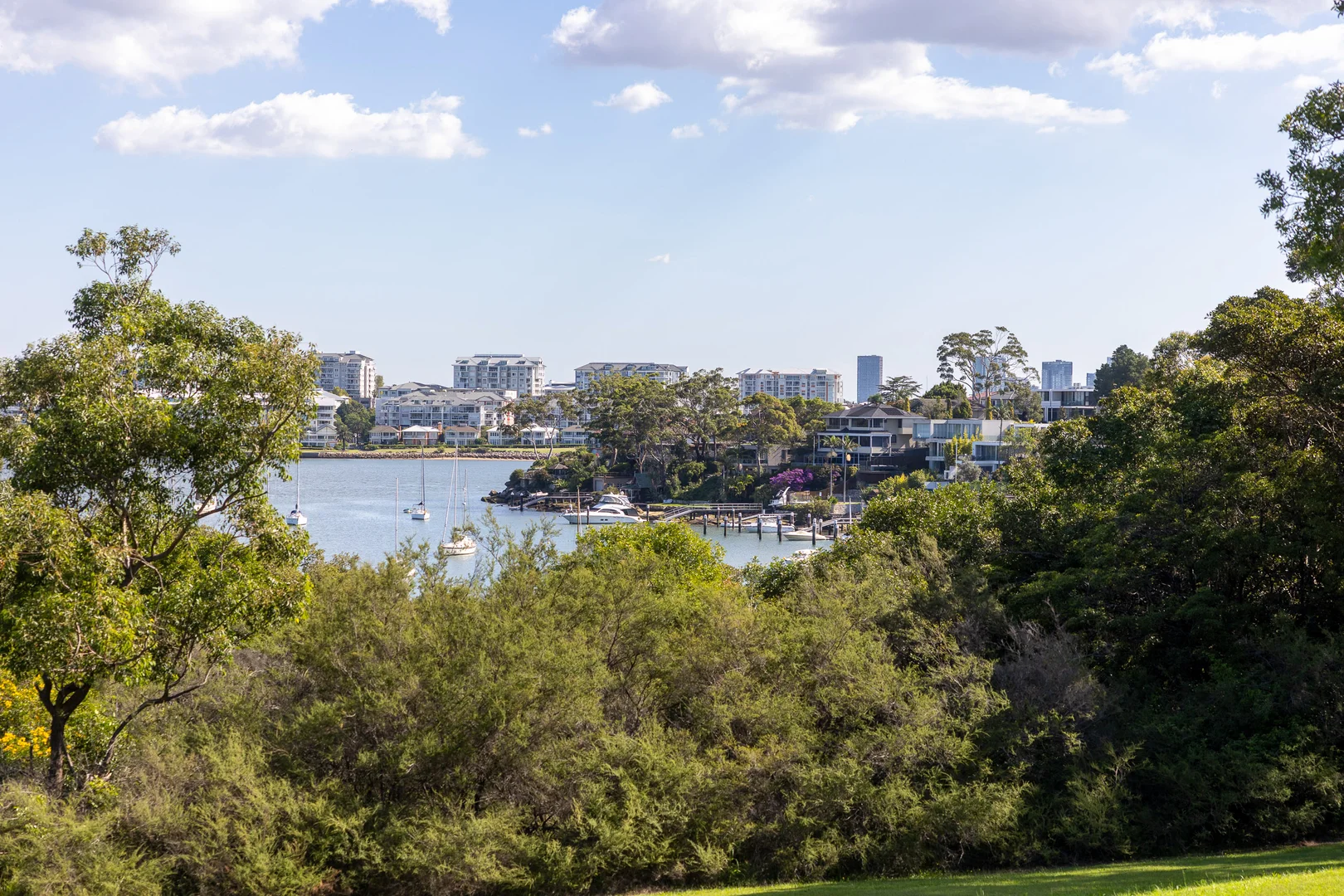 Additional image 32 of 17 Linsley Street, Gladesville NSW 2111
