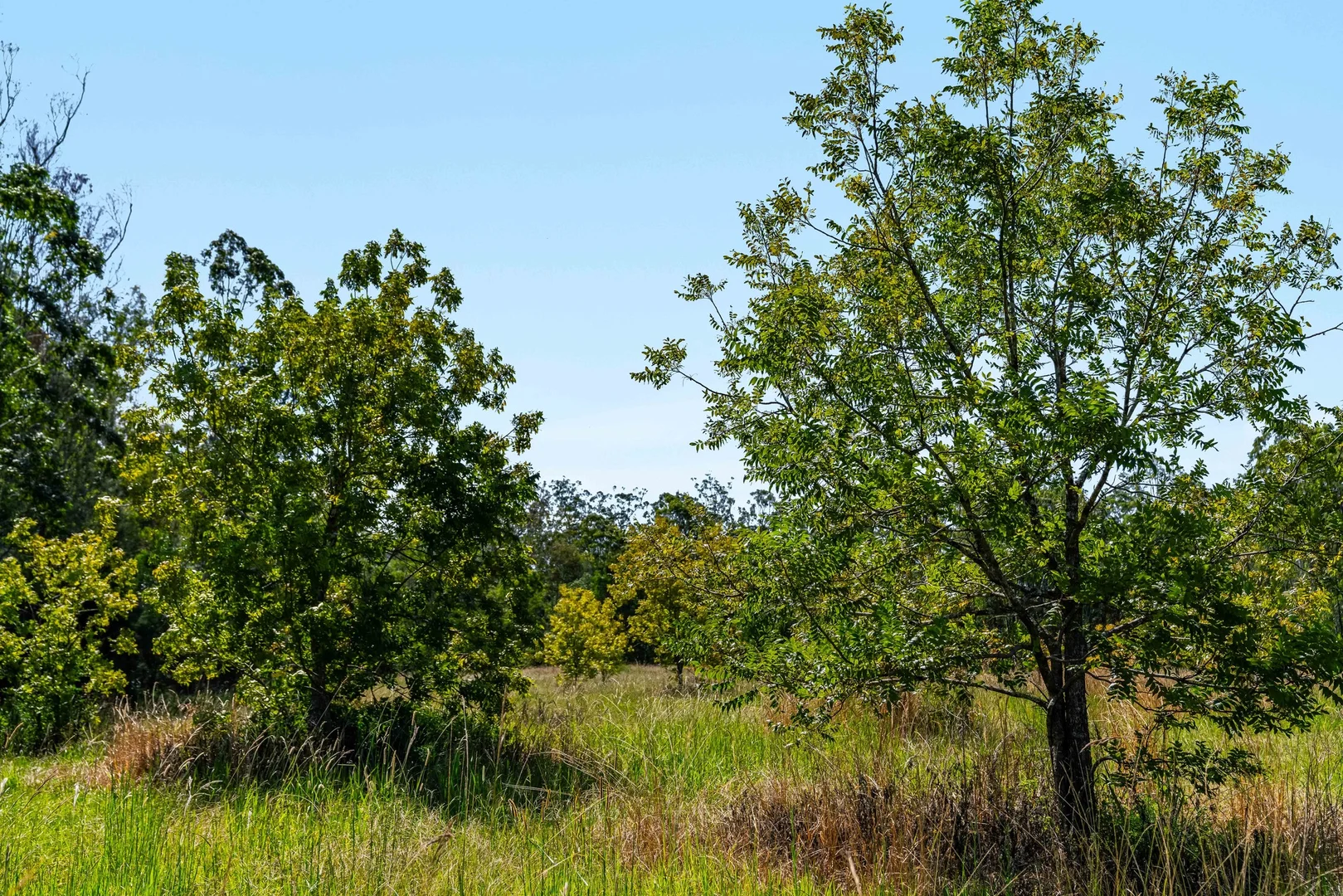 Additional image 23 of 1190 Bungawalbin Whiporie Road, Bungawalbin NSW 2469