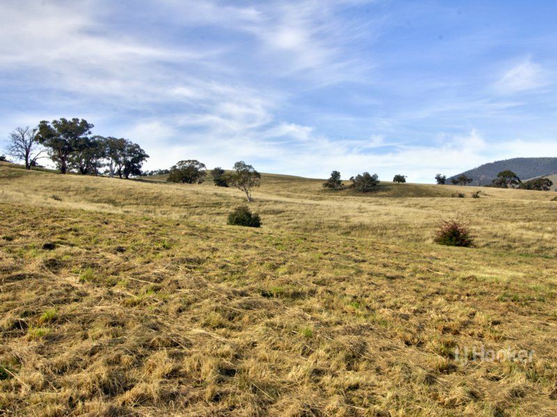 209 Day Avenue, Omeo VIC 3898, Image 1