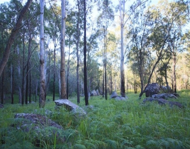 1554 Kangaroo Creek Road, Kangaroo Creek NSW 2460