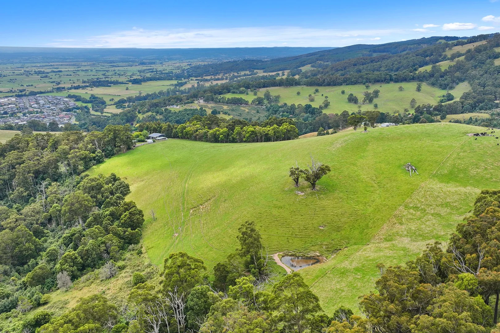 Additional image 31 of 244 Mirboo North-Trafalgar Road, Trafalgar South VIC 3824